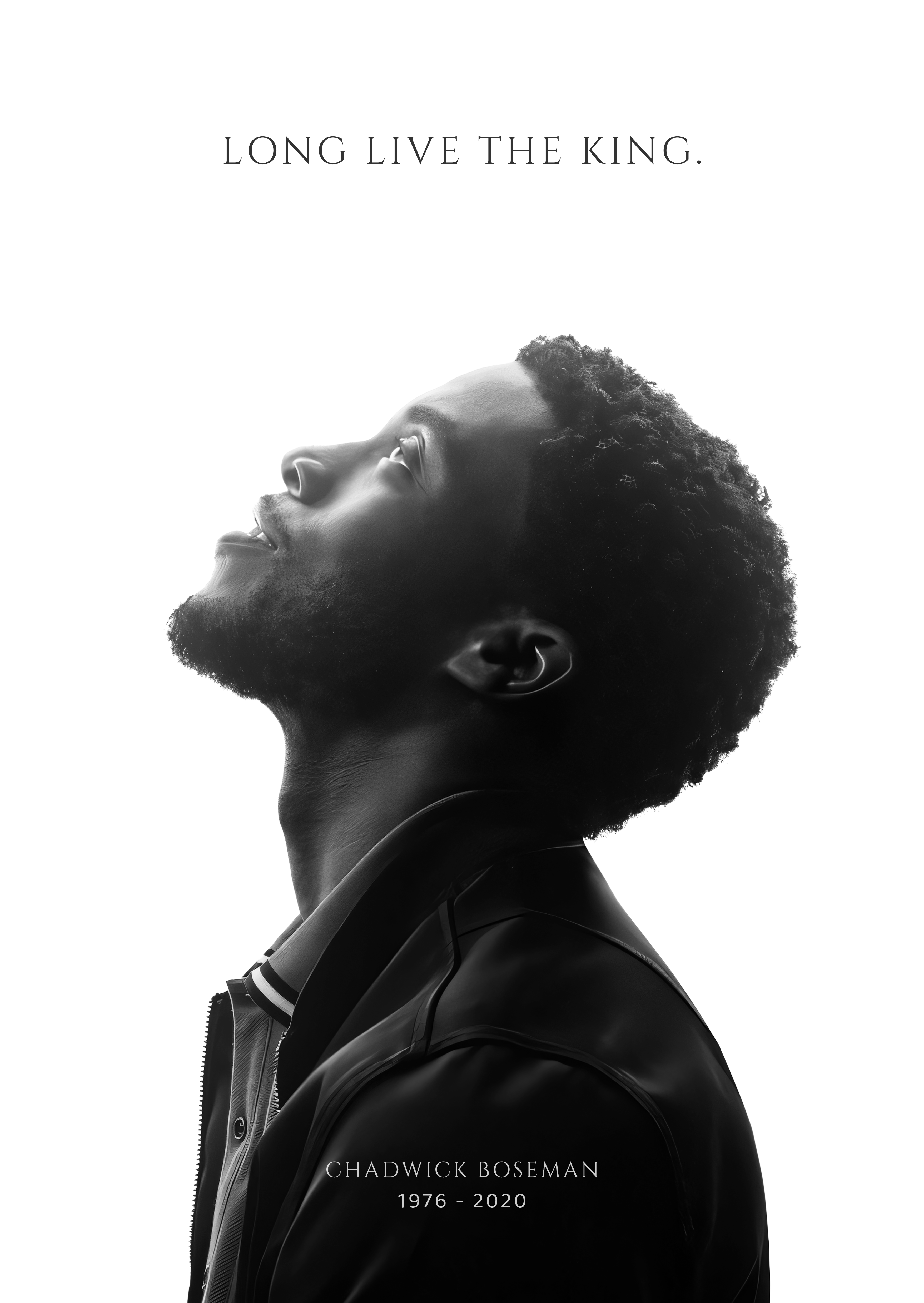 Black Panther | Long live the king